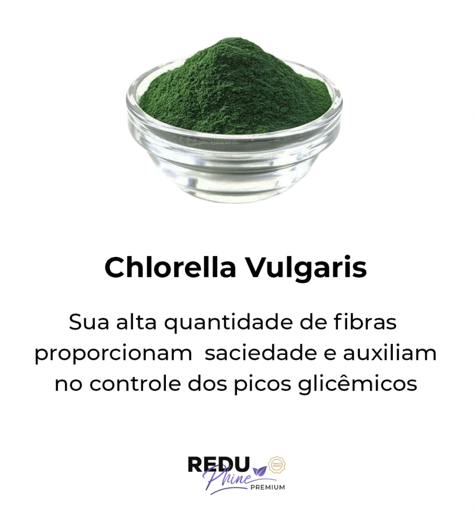 i-Chlorella-Vulgaris-1.png